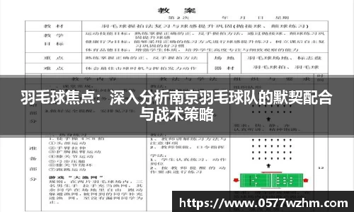 羽毛球焦点：深入分析南京羽毛球队的默契配合与战术策略