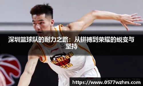 深圳篮球队的耐力之路：从拼搏到荣耀的蜕变与坚持